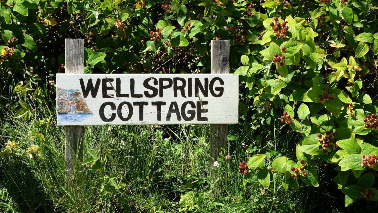 Wellspring Cottage Nr Kynance Cove Lizard Εξωτερικό φωτογραφία